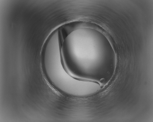 X0000073830838200608170939