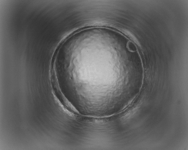 X0000073830839200608170939