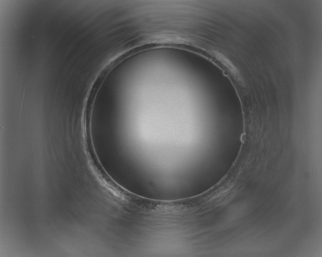 X0000073830840200608170939