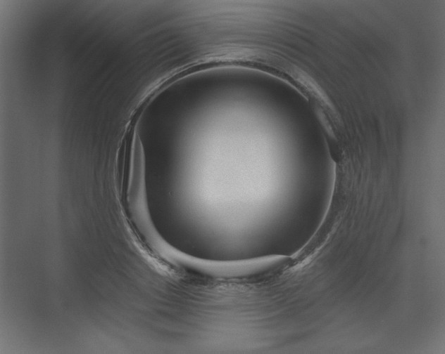 X0000073830842200608170939