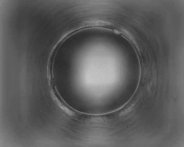 X0000073830843200608170939