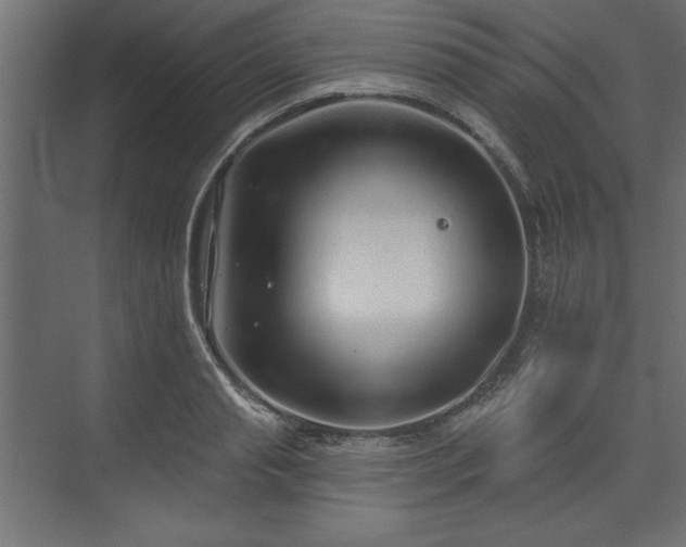 X0000073830845200608170939