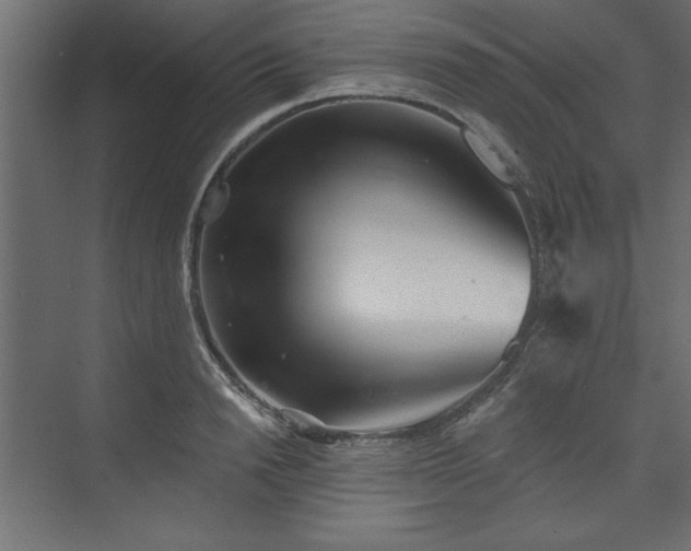 X0000073830846200608170939