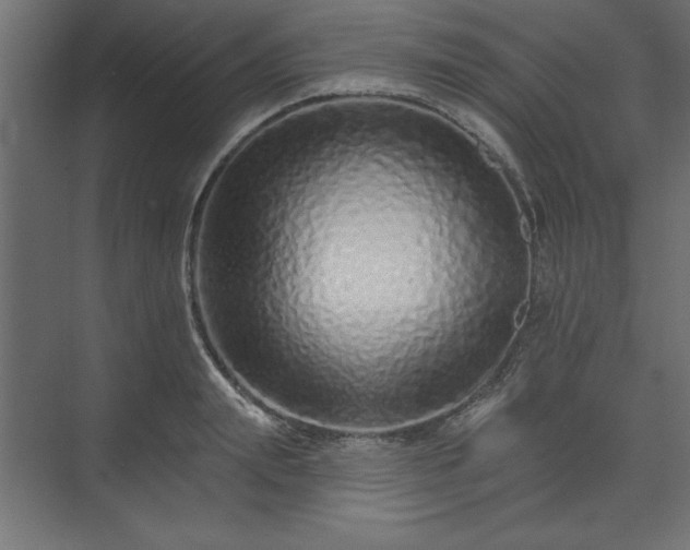 X0000073830847200608170939