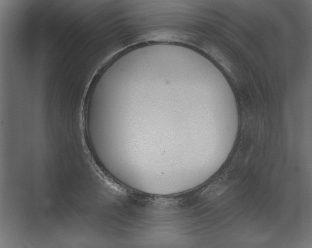 X0000073830848200608170939