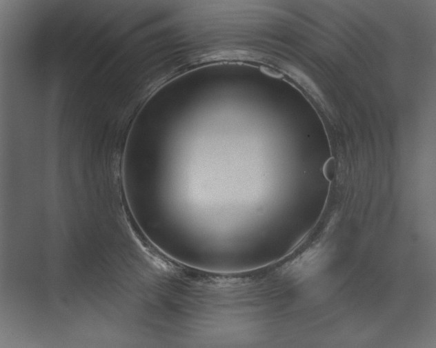 X0000073830849200608170939