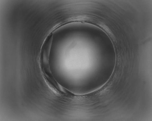 X0000073830850200608170939