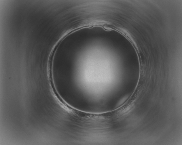 X0000073830851200608170939