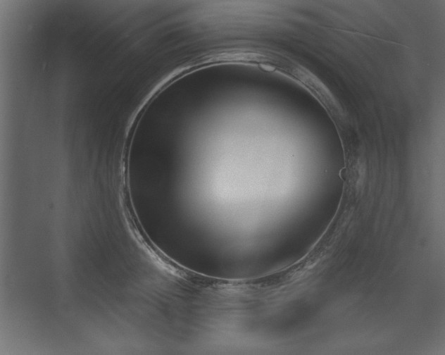 X0000073830852200608170939