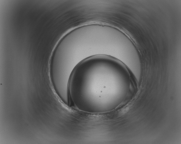 X0000073830854200608170939