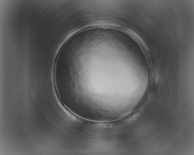 X0000073830855200608170939