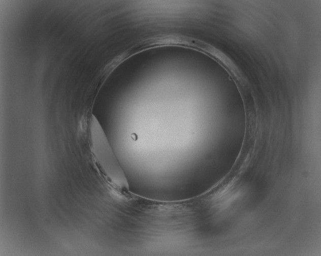 X0000073830857200608170939