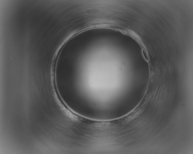 X0000073830859200608170939