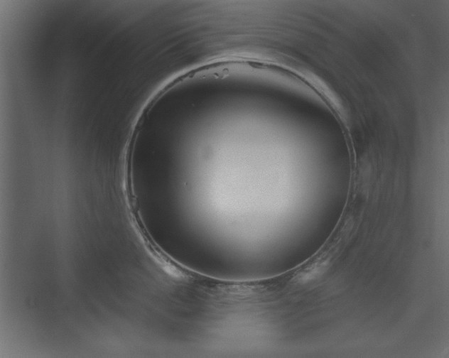 X0000073830862200608170939