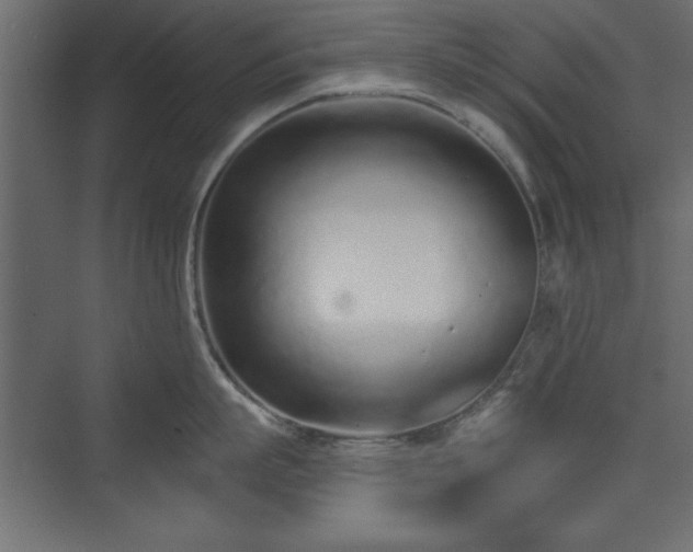 X0000073830863200608170939