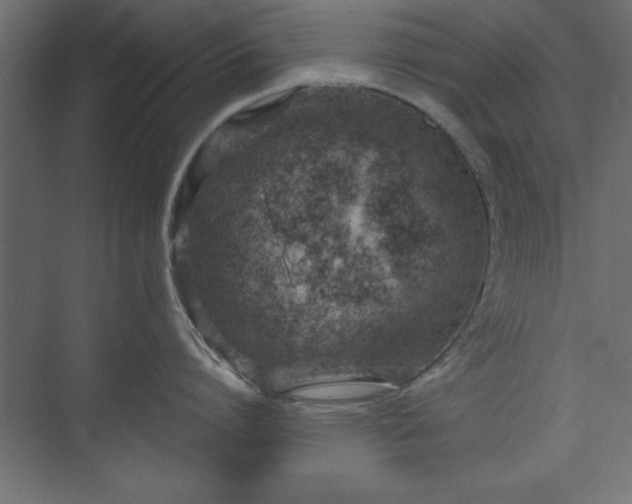 X0000073830864200608170939