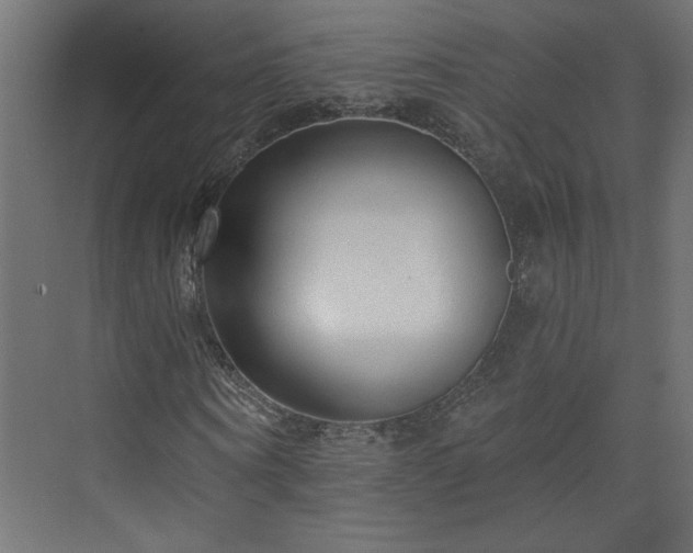 X0000073830866200608170938