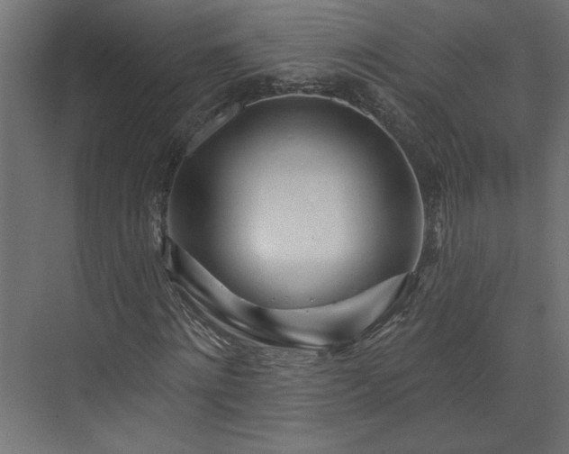 X0000073830868200608170938