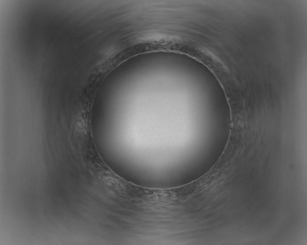 X0000073830869200608170938