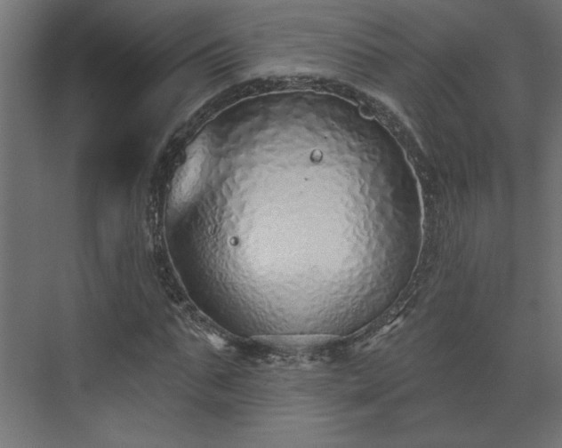 X0000073830871200608170938