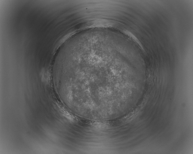 X0000073830874200608170938