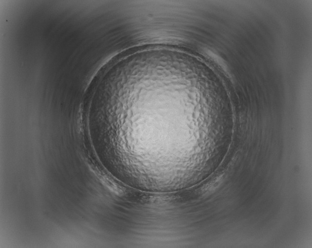 X0000073830875200608170938