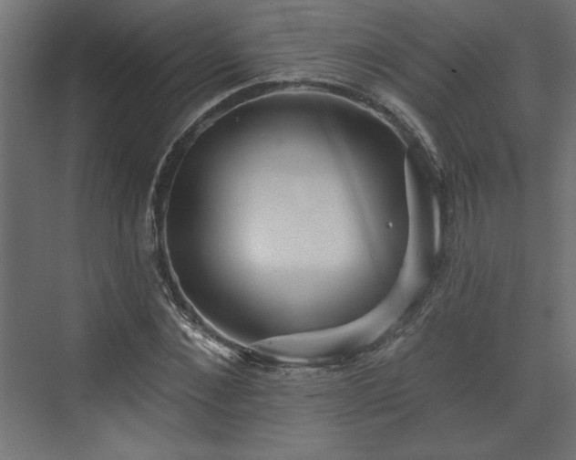 X0000073830876200608170938