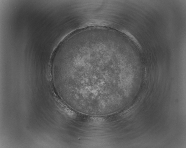 X0000073830878200608170938