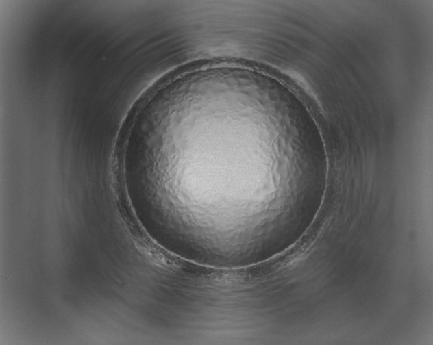 X0000073830879200608170938