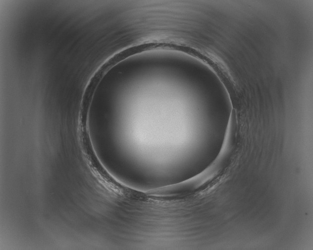 X0000073830880200608170938