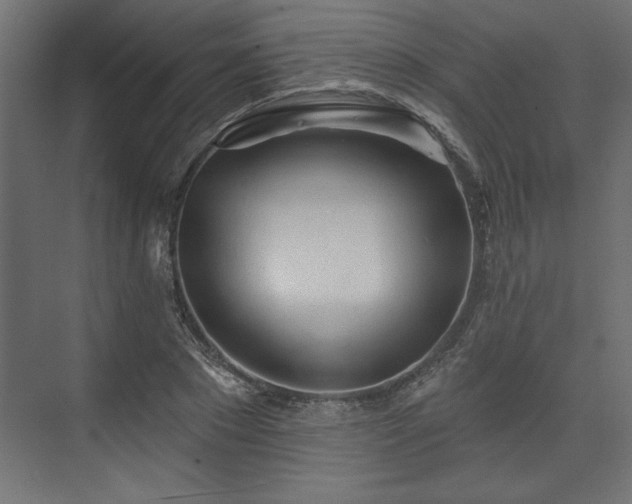 X0000073830881200608170938