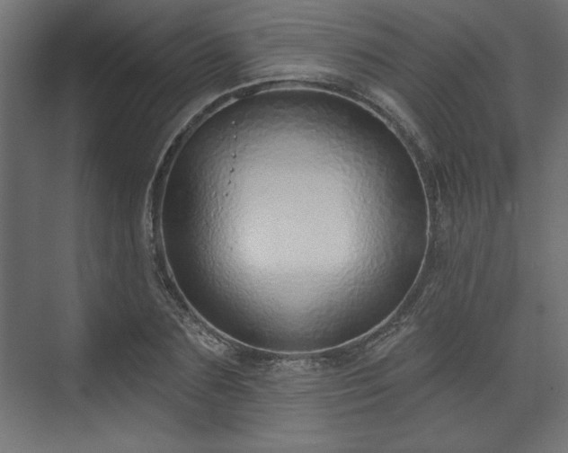 X0000073830883200608170938