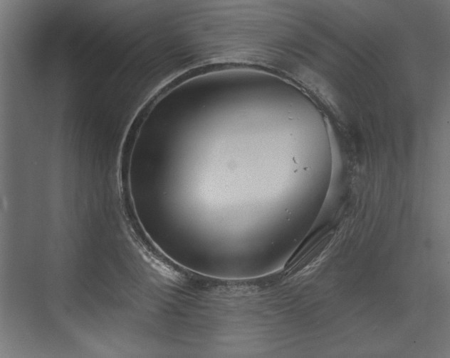 X0000073830884200608170938