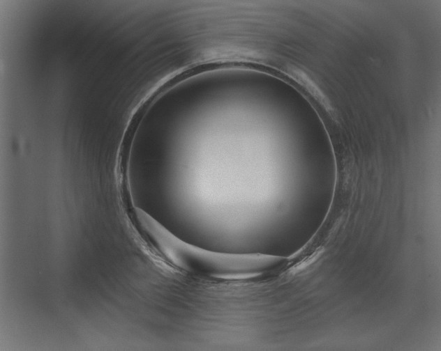 X0000073830885200608170938