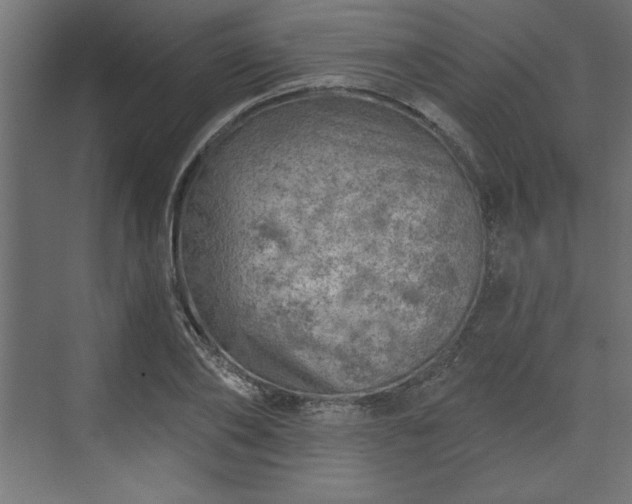 X0000073830886200608170938