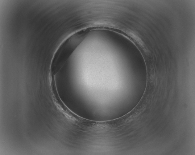 X0000073830888200608170938