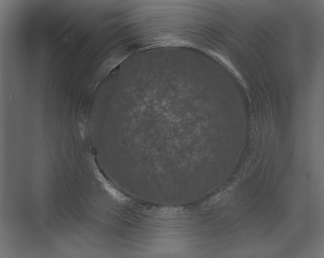 X0000073830889200608170938