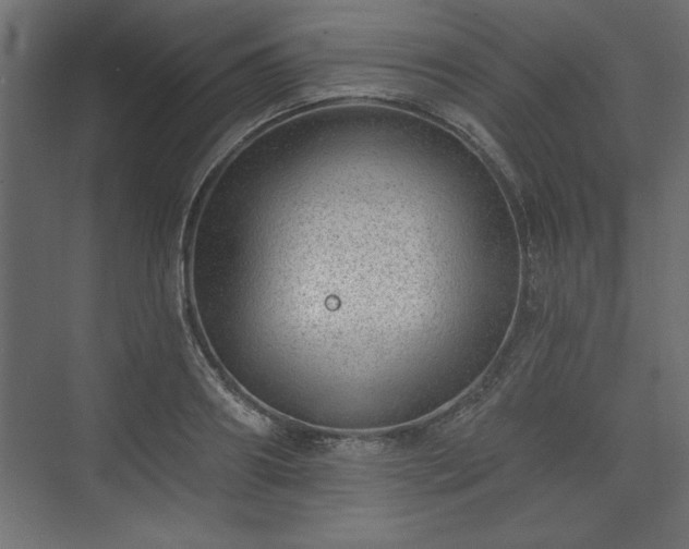 X0000073830890200608170938