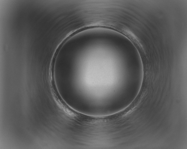 X0000073830892200608170938