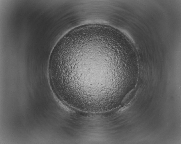 X0000073830895200608170938