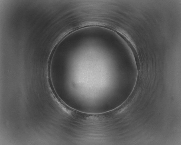 X0000073830898200608170938