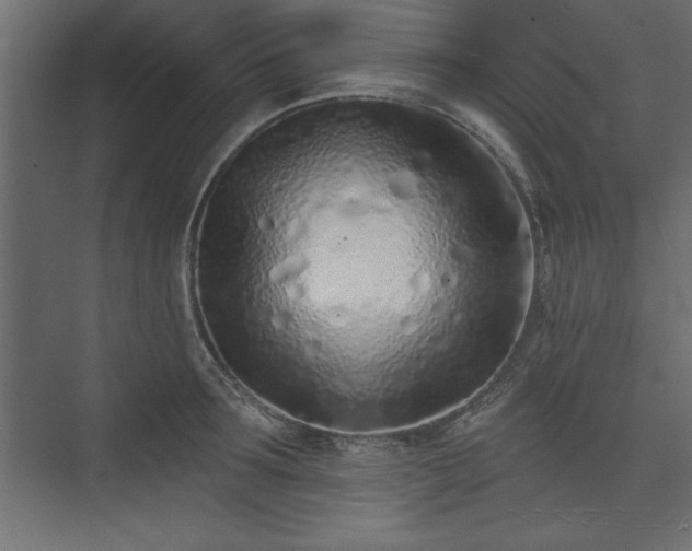 X0000073830899200608170938