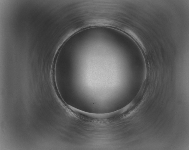 X0000073830901200608170938