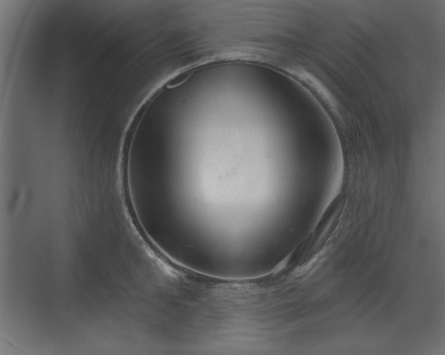 X0000073830902200608170938