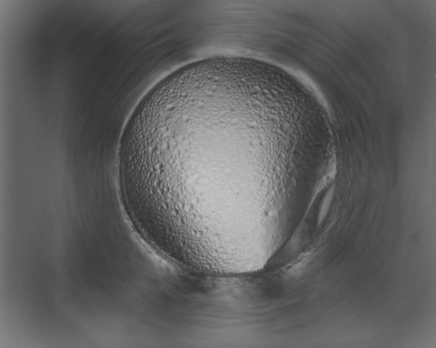 X0000073830903200608170938