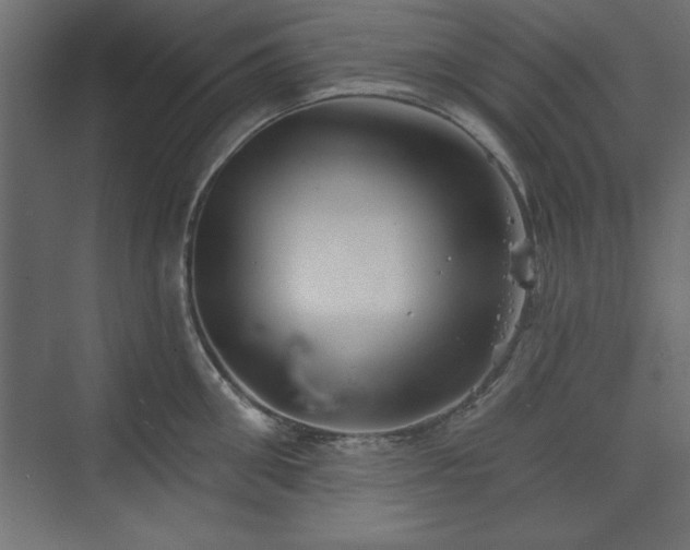 X0000073830906200608170938