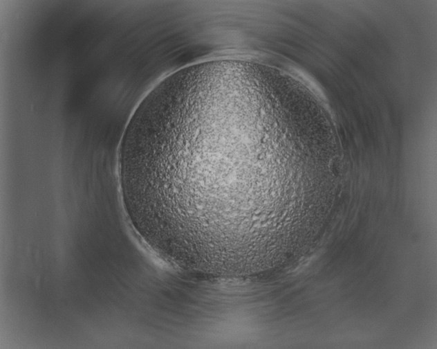 X0000073830907200608170938