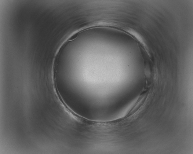 X0000073830910200608170938