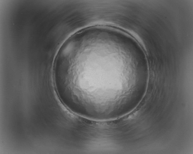 X0000073830911200608170938