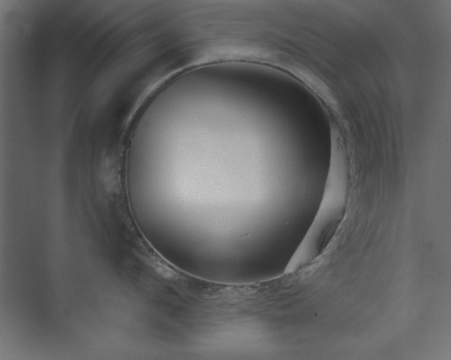 X0000073830912200608170938